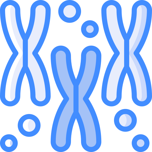Chromosomes 상