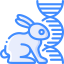 Rabbit アイコン 64x64