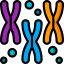 Chromosomes icon 64x64