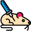 Rat icon 64x64