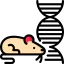 Mouse icon 64x64