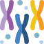 Chromosomes biểu tượng 64x64