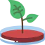 Petri dish biểu tượng 64x64