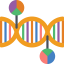 Dna biểu tượng 64x64
