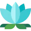 Lotus flower icon 64x64