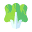 Lettuce icon 64x64