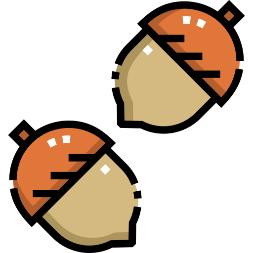 Acorn icon