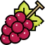 Grape іконка 64x64