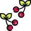 Cherry іконка 64x64