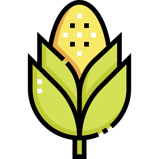 Corn icon