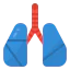 Organ icon 64x64