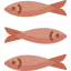 Sardines 图标 64x64
