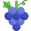 Grapes Symbol 64x64