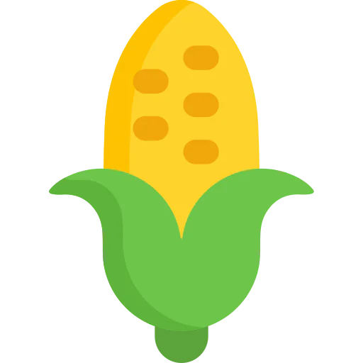 Corn icon