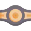 Champion belt icon 64x64