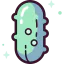 Cucumber Symbol 64x64