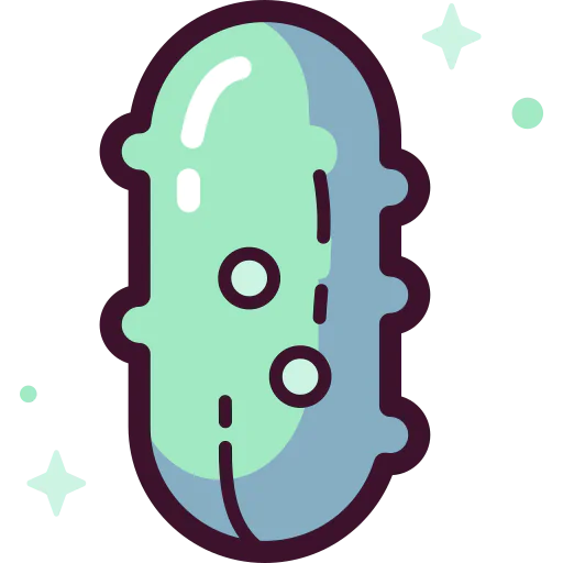 Cucumber icon