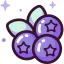 Blueberry Symbol 64x64