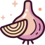 Onion icône 64x64