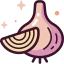 Onion icon 64x64