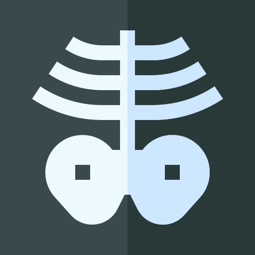 X rays icon