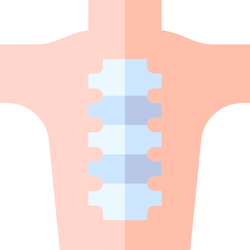 Backbone icon