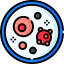 Petri dish icon 64x64