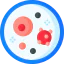 Petri dish 상 64x64
