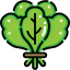 Spinach icon 64x64