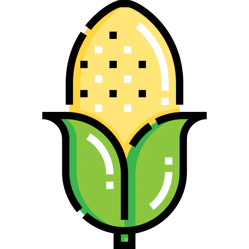 Corn icon