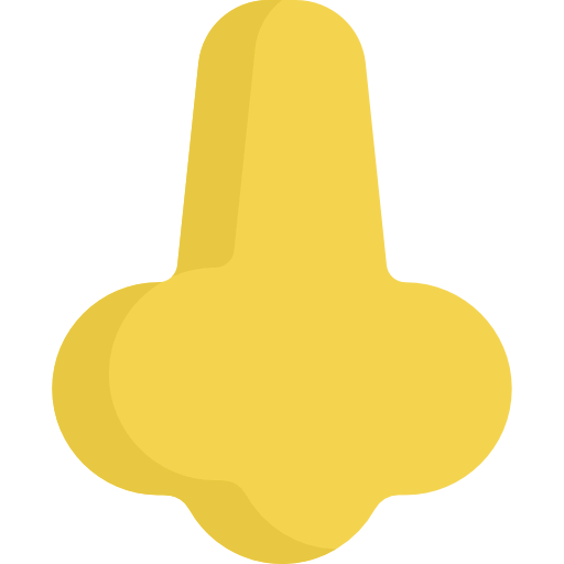 Nose ícono