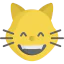 Cat icon 64x64