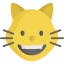 Cat icon 64x64