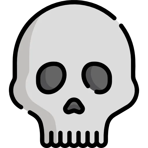 Skull 상