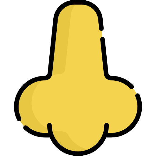Nose 图标