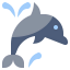 Dolphin icon 64x64