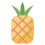 Pineapple 图标 64x64