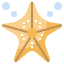 Starfish Ikona 64x64