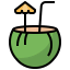 Coconut water icon 64x64