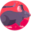 Rat icon 64x64