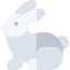 Rabbit 图标 64x64