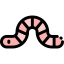 Worm 图标 64x64