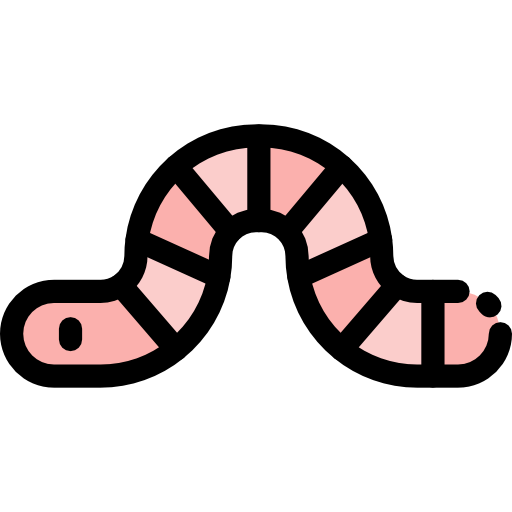 Worm icon