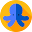 Octopus icon 64x64