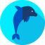 Dolphin icon 64x64