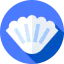 Seashell icon 64x64
