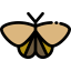 Moth 图标 64x64