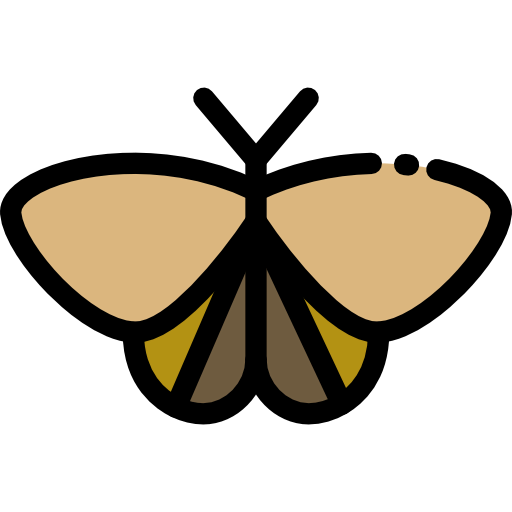 Moth icon