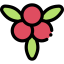 Berries 图标 64x64