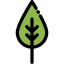 Leaf 图标 64x64